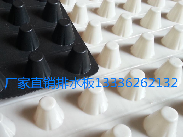 花园绿化塑料排水板 HDPE排水板 凸点排水板