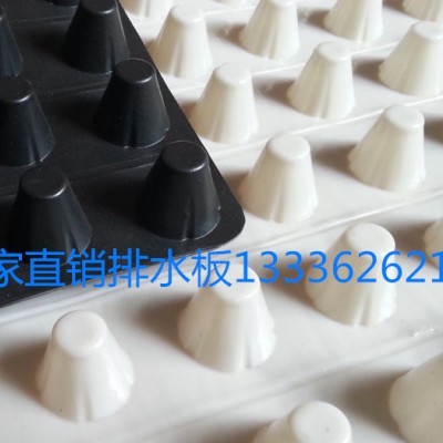 花园绿化塑料排水板 HDPE排水板 凸点排水板