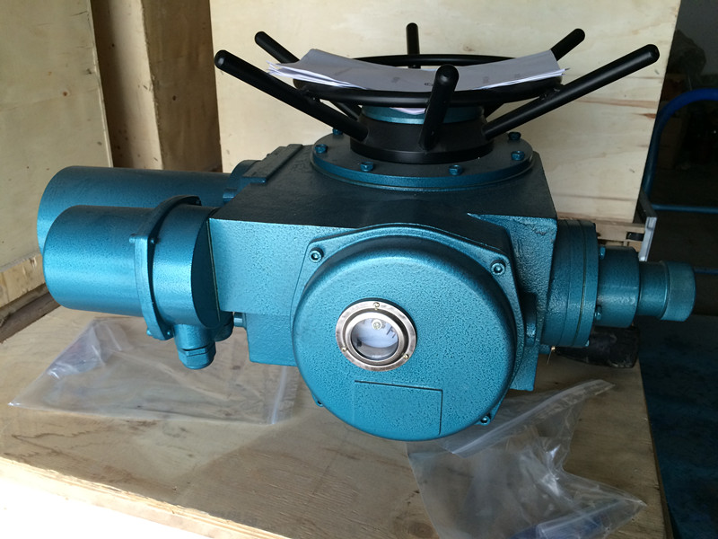 DZW60-24-A00-DS1开关型执行器