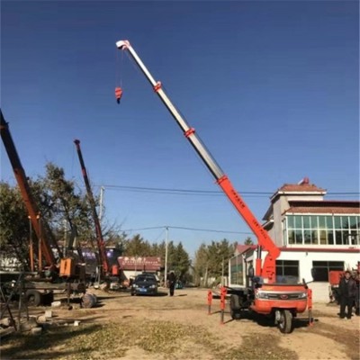 山东厂家直供改装三轮吊小型园林背树吊