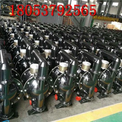 隔膜泵BQG250/0.3隔膜泵厂家现货92749歧管