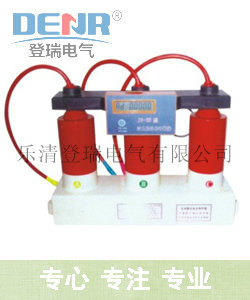 登瑞专业生产TBP-B-12.7/131-J型过电压保护器