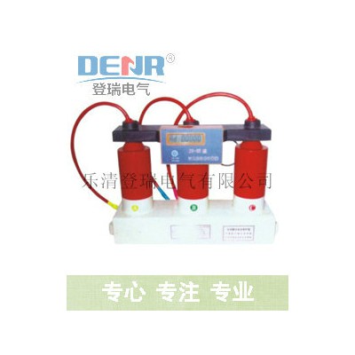 登瑞专业生产TBP-B-12.7/131-J型过电压保护器
