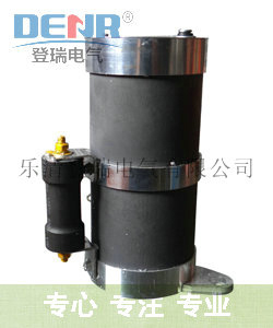 登瑞电气自产自销10KV圆形带放电管lxqiiid二次消谐器