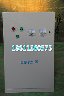 天津水箱臭氧自洁消毒器厂家直销