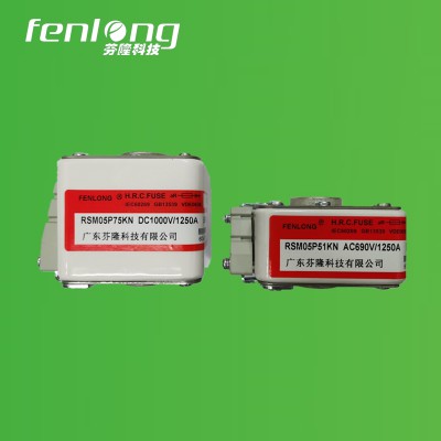 RSF-5PK半导体平板式快速熔断器订做-芬隆品牌