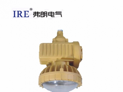 LED防爆应急灯BAJ52系列