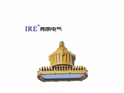 LED防爆免维护节能灯BRE8670系列