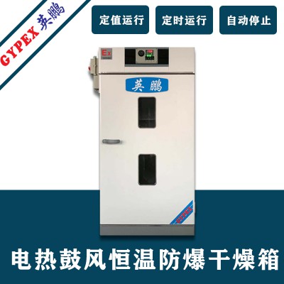 防爆电加热鼓风干燥箱