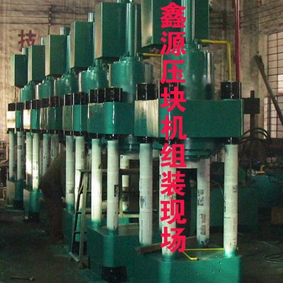 鑫源海绵铁高密压块机高质量发展稳步进行中Y