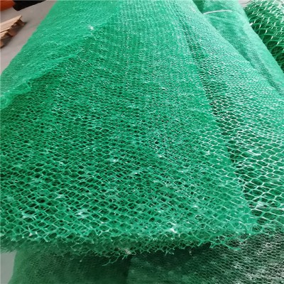 加工定制三维植被网护坡植草固土三维植被网价格