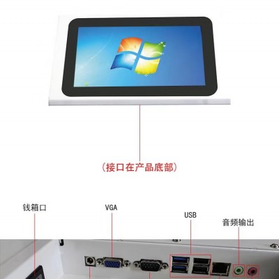 称的分类