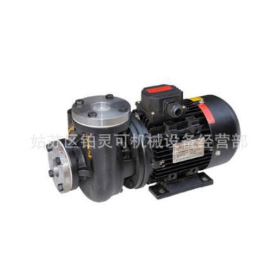 原装LEZQ PUMP模温机油泵MOTORE
