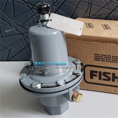 FISHER289H-49天然气安全阀，289H放散阀