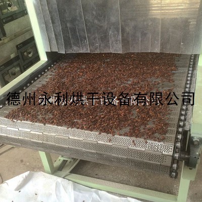 特惠来袭 流水线式瓜子烘干设备 小型食品干燥设备