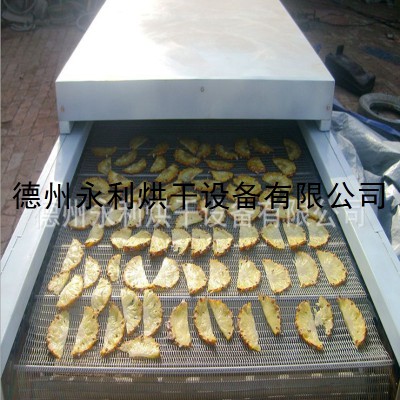 特惠来袭 水果片干燥设备 流水线式烘干机