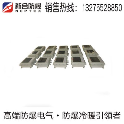 纤维场所用防爆显示器BJX系列安全定制直销