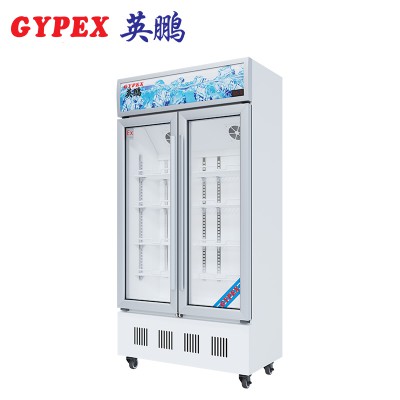 渭南防爆冷藏柜双门玻璃门400L