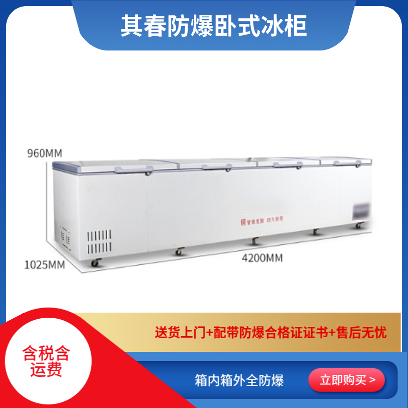 4.2米防爆冰柜BL-W2500卧式防爆冰箱冷藏冷冻柜