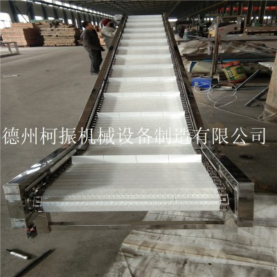 批量制造塑料链板提升机 耐高温输送设备