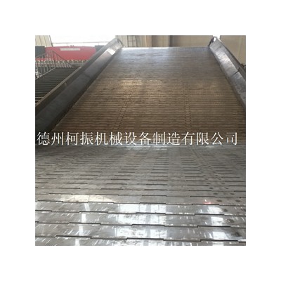 批量制造重型链板提升机 不锈钢分拣输送机
