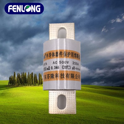 FENLONG品牌RS95A低压熔断器订做