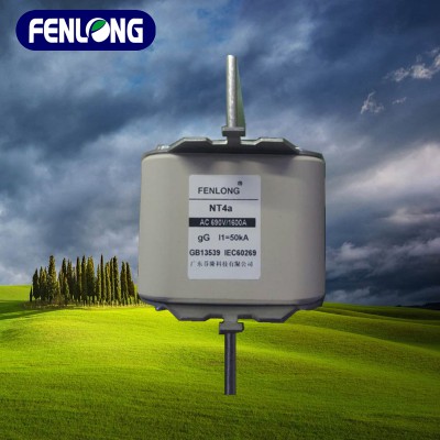 FENLONG品牌RS34低压熔断器订做