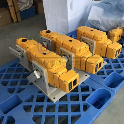BLH-20DS,BLH-Z20S精小型电动执行器