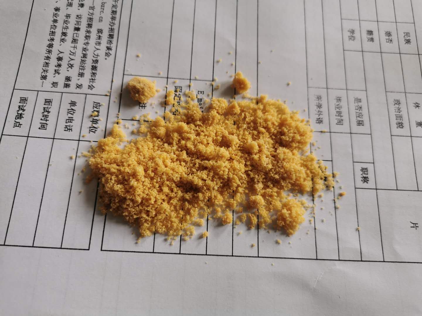 改性型大豆磷脂油粉