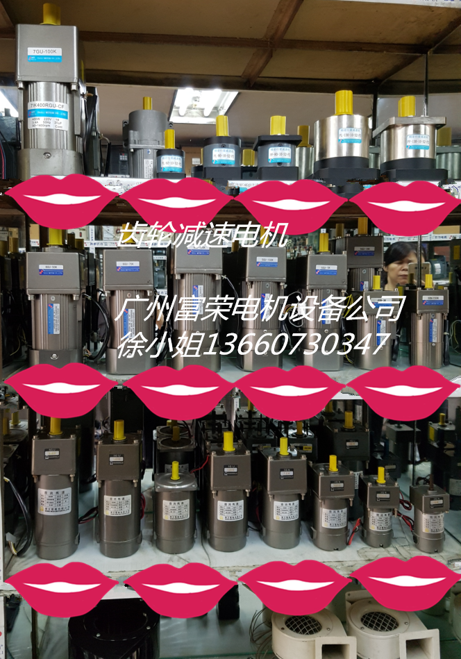供应台力，东文，齿轮减速电机,调速电机6w-750w