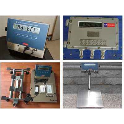 TCS-3040/30KG防爆电子秤高清监控显示配置