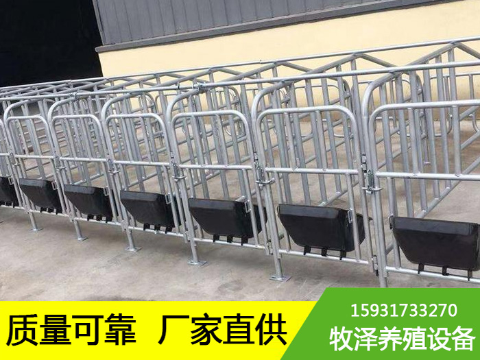 新疆乌鲁木齐小猪定位栏尺寸大小-牧泽