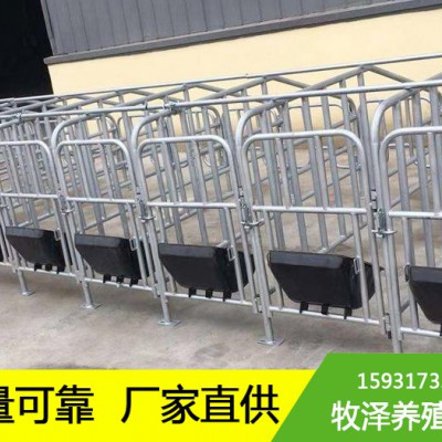 新疆乌鲁木齐小猪定位栏尺寸大小-牧泽