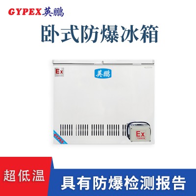 南昌电子厂卧式防爆冰柜