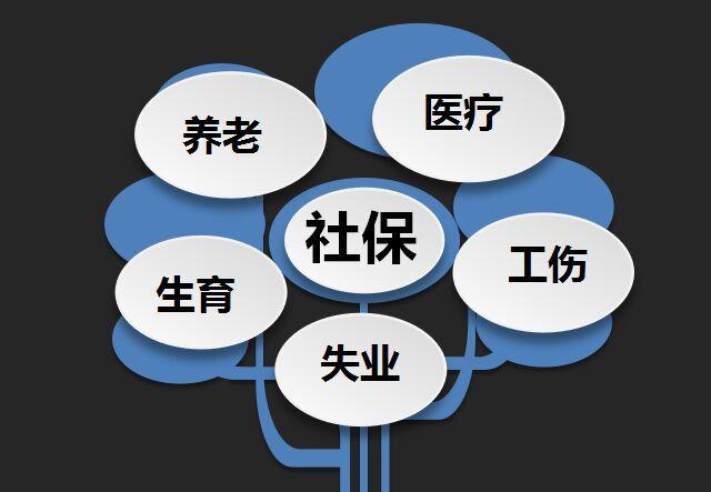 企业职工养老保险制度又是什么