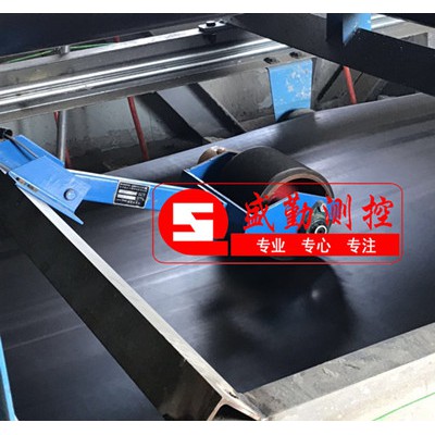 电子皮带秤测速传感器PLR12R+PLR12RN