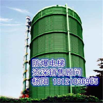 供应青海省西宁市防爆电梯、煤气柜电梯
