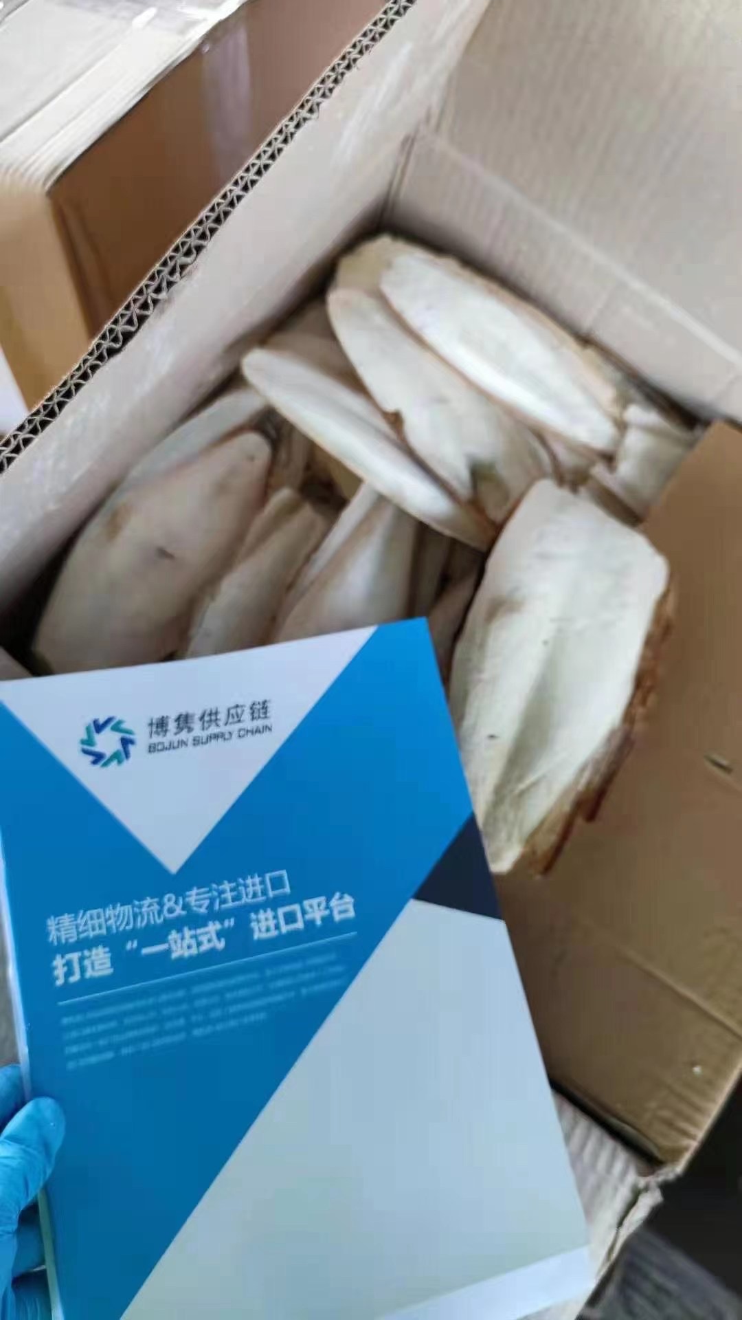 天津海螵蛸进口报关