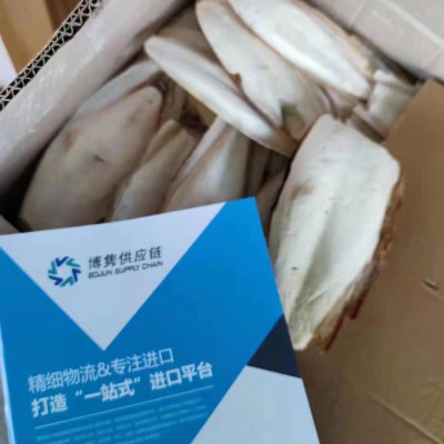 天津海螵蛸进口报关
