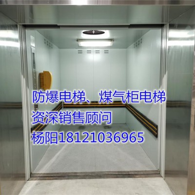 供应江苏省南京市秦淮区防爆电梯、煤气柜电梯
