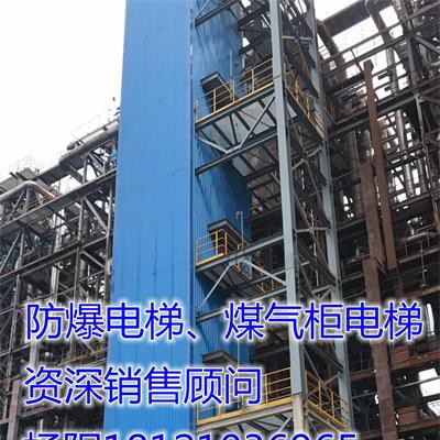 供应山东省泰安市东平县防爆电梯、煤气柜电梯