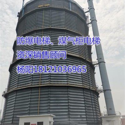 供应贵州省遵义市务川县防爆电梯、煤气柜电梯