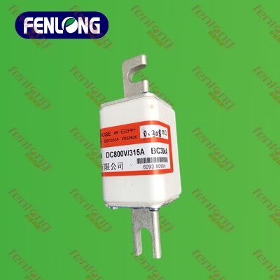 RSM01MZ110TN快速熔断器-FENLONG芬隆品牌