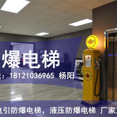 供应海南省澄迈县防爆电梯、煤气柜电梯