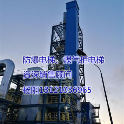 供应山西省运城市万荣县防爆电梯、煤气柜电梯
