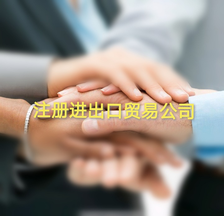 关于宁波办理进出口权，为您匹配了以下实用结果