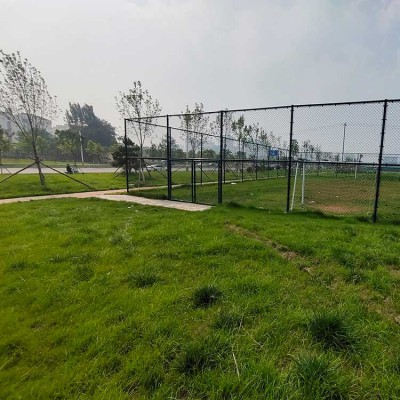 铜川市护栏网 篮球足球场护栏网 包塑勾花网围栏