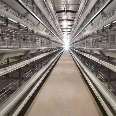 肉鸡养殖设备笼养设备鸡舍笼具山东金石农牧机械