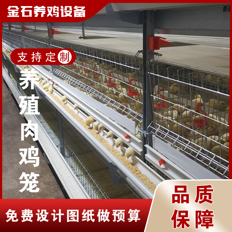 肉鸡养殖设备笼养设备层叠式笼养设备山东金石农牧机械