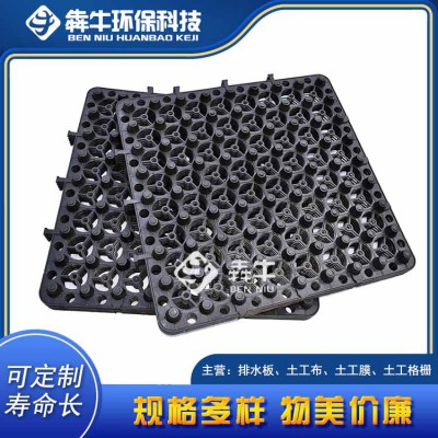 南宁园林绿化蓄排水板欢迎咨询